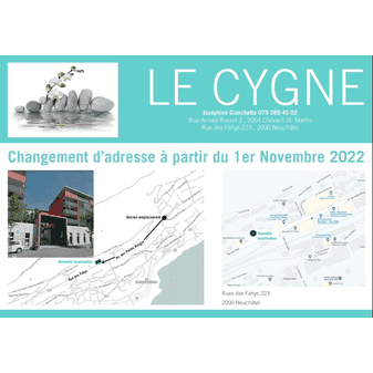 le Cygne, Rue des Fahys 223, 2000 Neuchâtel