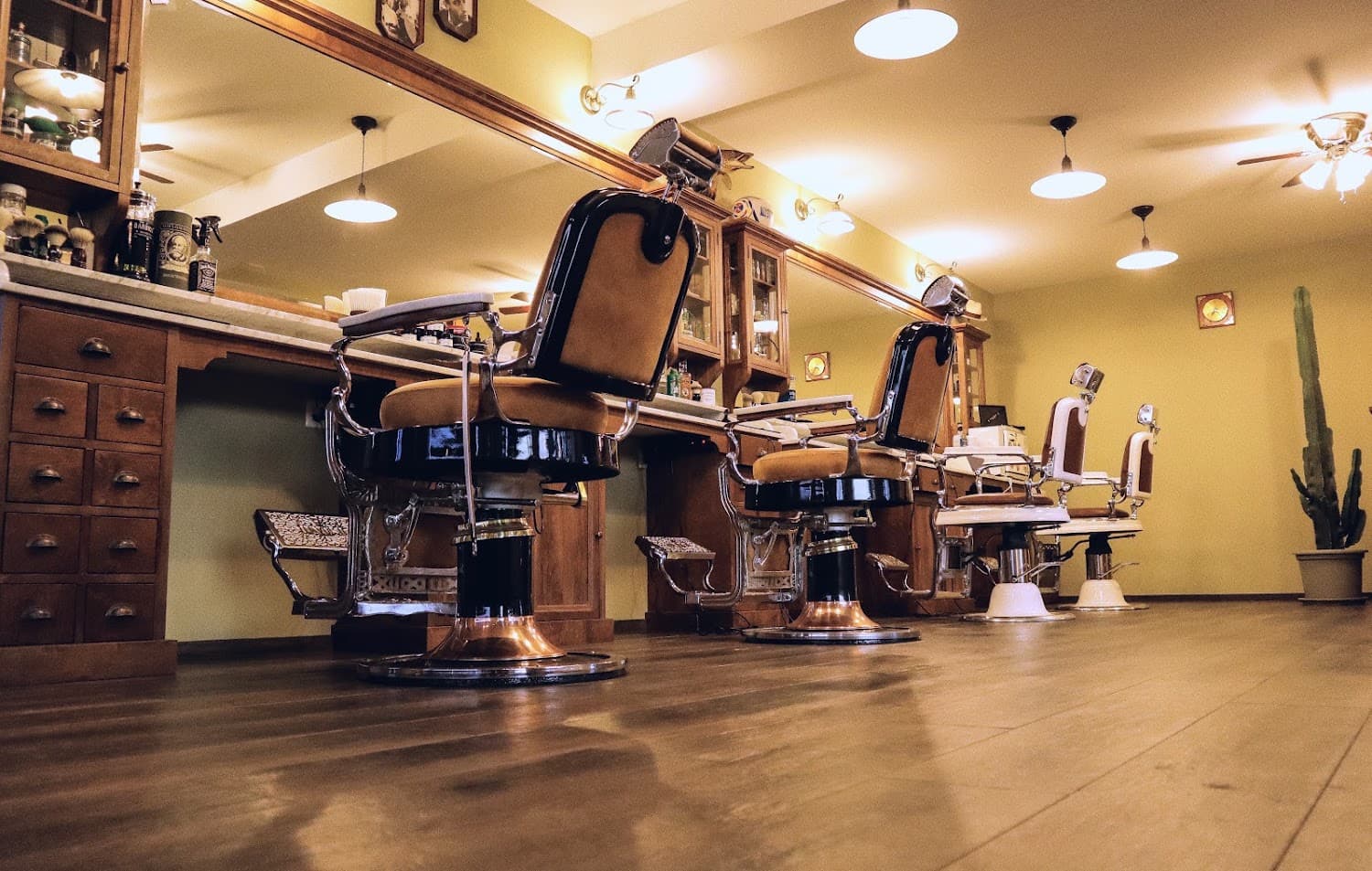 House Of Cut - Carecci